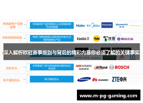深入解析欧冠赛事级别与背后的精彩内幕你必须了解的关键事实