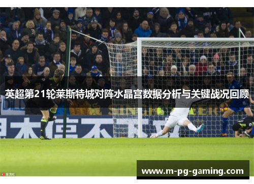 英超第21轮莱斯特城对阵水晶宫数据分析与关键战况回顾 英超第21轮莱斯特城对阵水晶宫数据分析与关键战况回顾