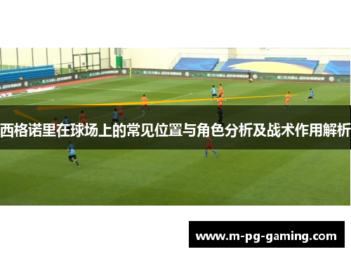 西格诺里在球场上的常见位置与角色分析及战术作用解析 西格诺里在球场上的常见位置与角色分析及战术作用解析