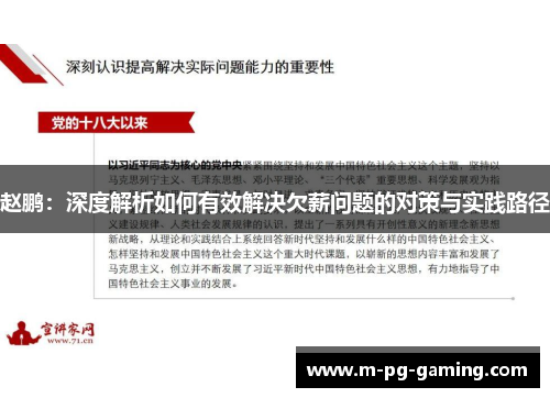 赵鹏：深度解析如何有效解决欠薪问题的对策与实践路径