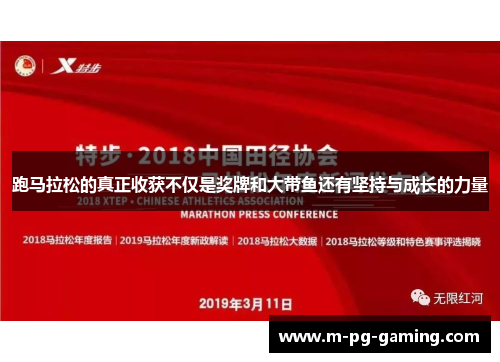 跑马拉松的真正收获不仅是奖牌和大带鱼还有坚持与成长的力量